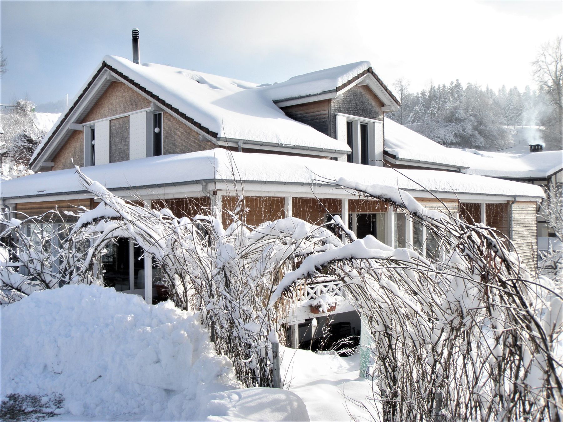 kindler, schwarzenberg